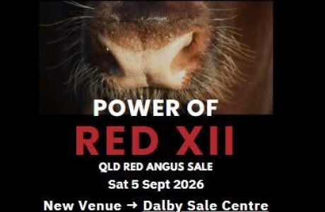 Power of Red Sale_2026